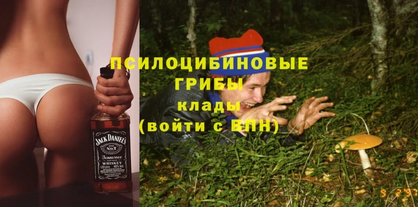 винт Армянск