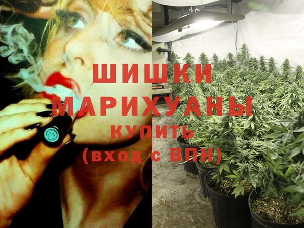 винт Армянск
