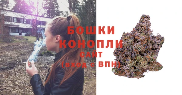 винт Армянск